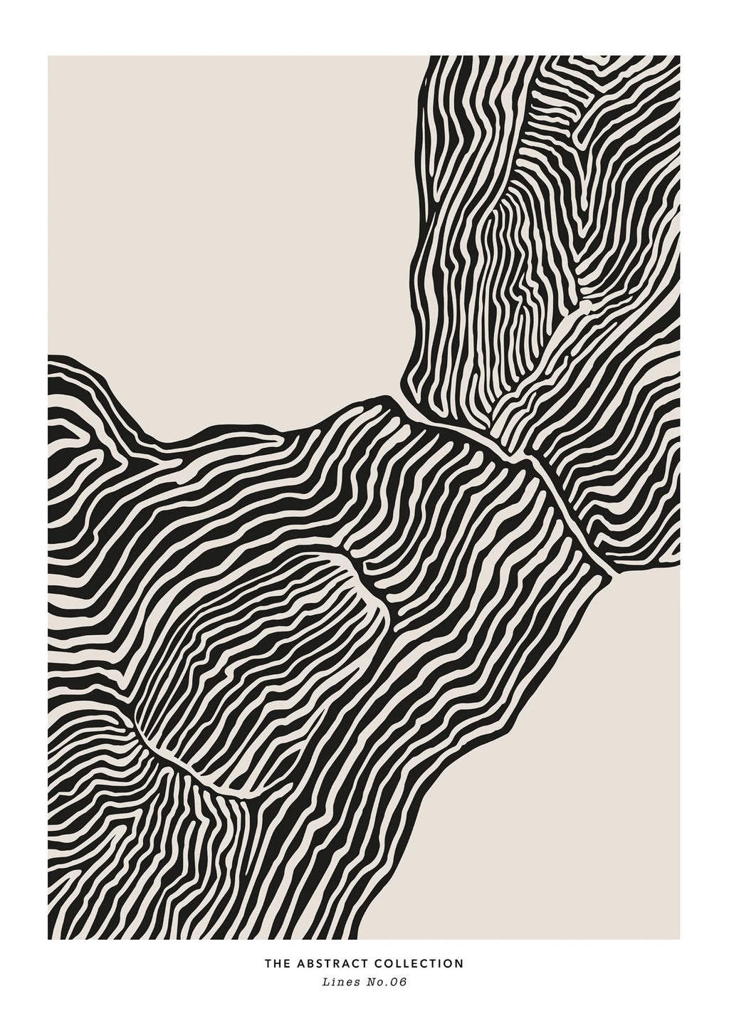 Scattered Lines
